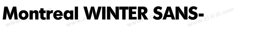 Montreal WINTER SANS字体转换
